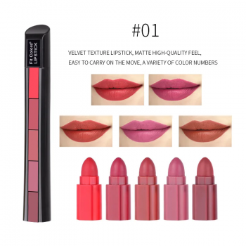 5 in 1 Lipstick kit #09