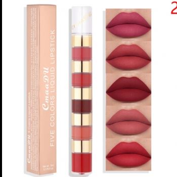 5 in 1 Lipstick Kit 